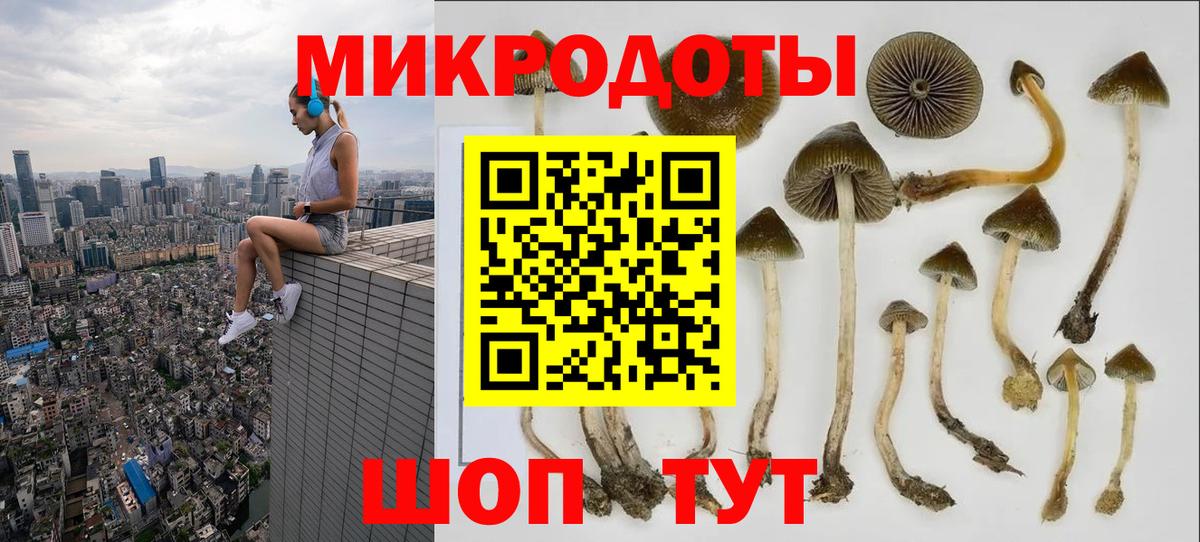Истра  Псилоцибиновые грибы мухоморы  Вход с VPN 